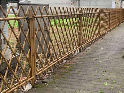 景區(qū)竹節(jié)護欄圖片4